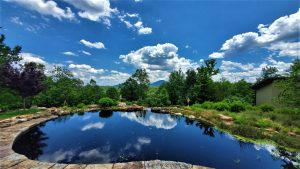 Nature Wellness Retreats Georgia Mountains